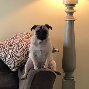 Meet your Posher, Stacy